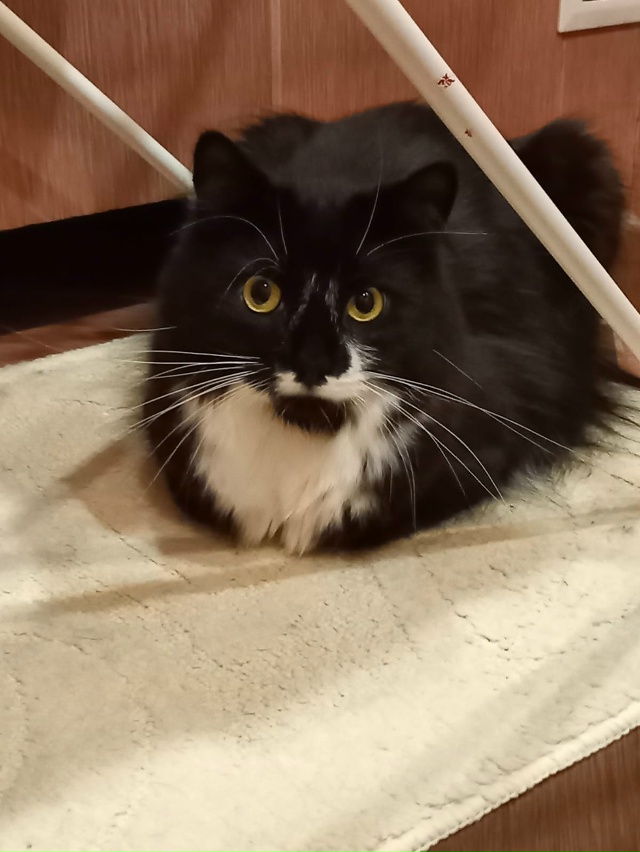 Два дня назад из окна дома на Заводской выпал домашний ...