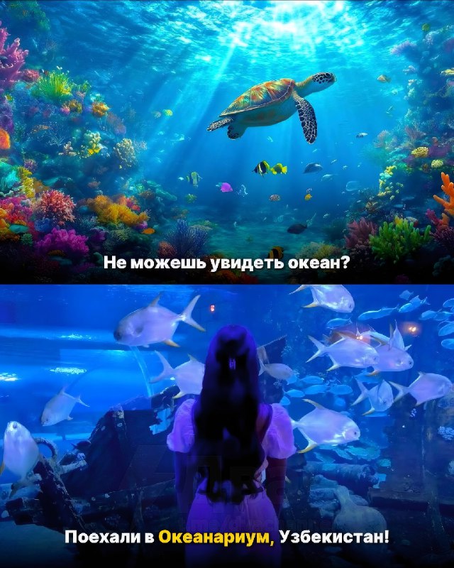 В интернете показали, что Узбекистан может заменить любую страну для отпуска — вот наглядные пруфы с