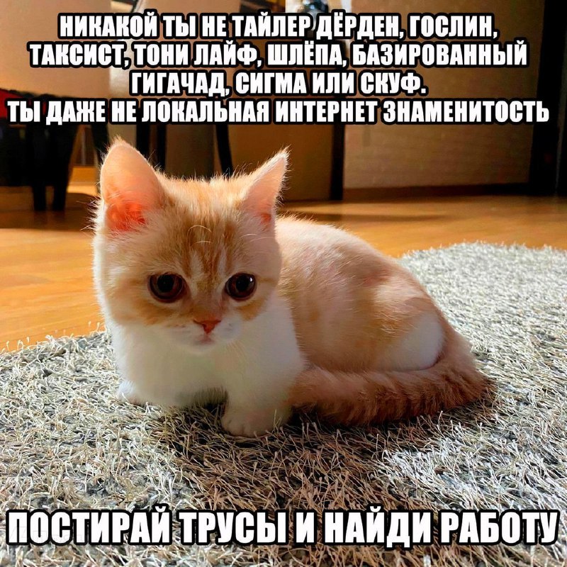 Утренняя подборочка
