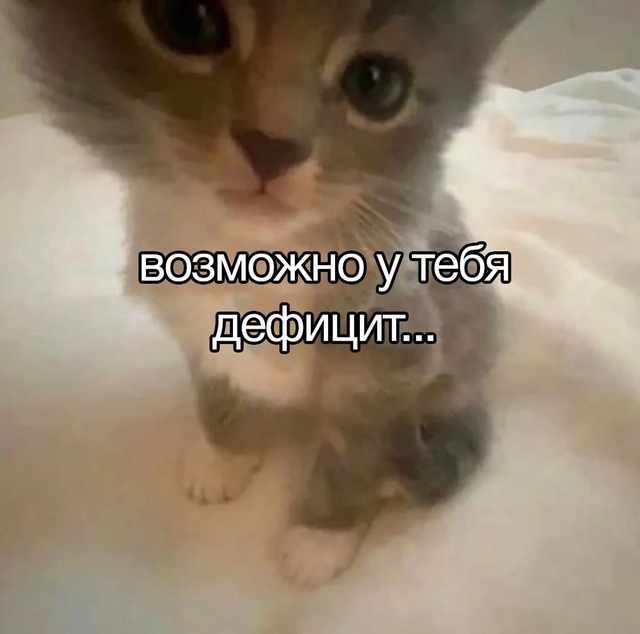 Ты, прав, котя