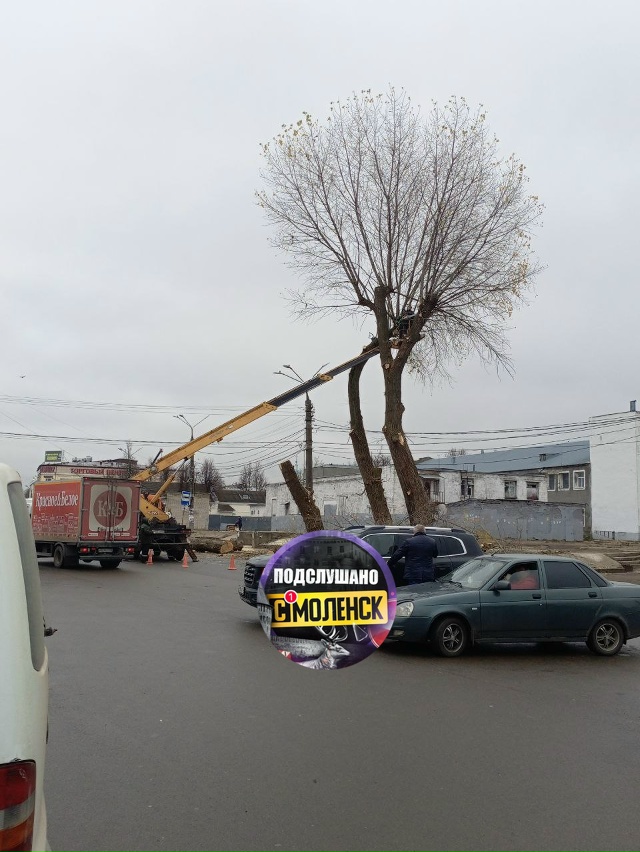 Власти города руками Зеленспила продолжают уничтожат?...