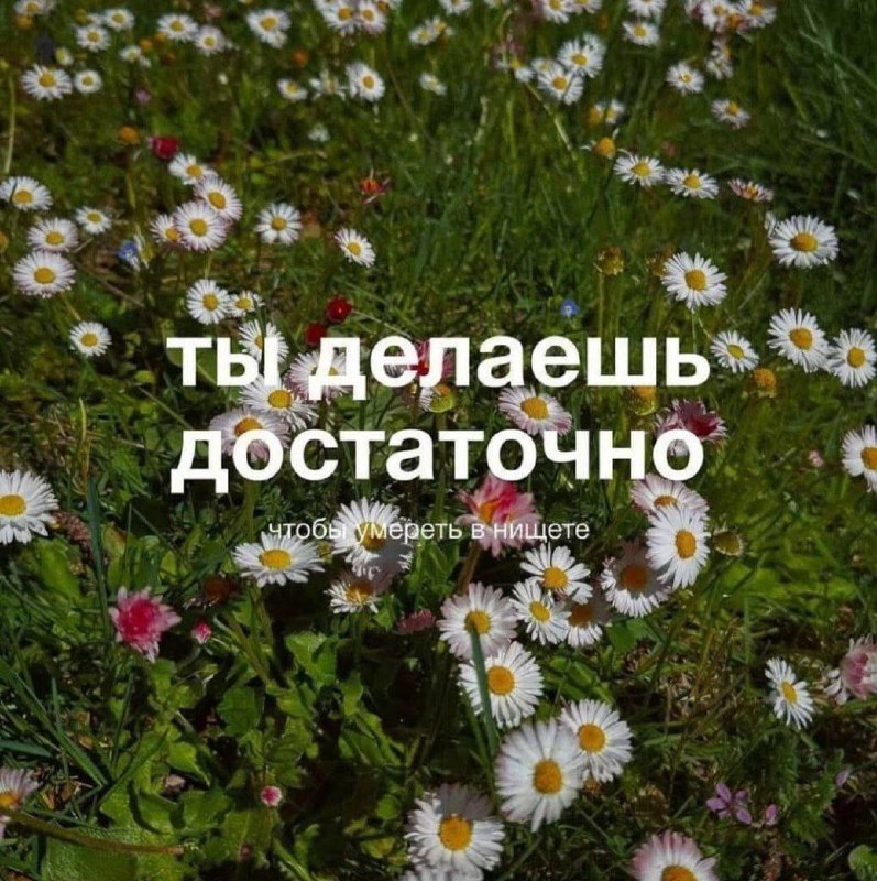 Утренняя подборочка