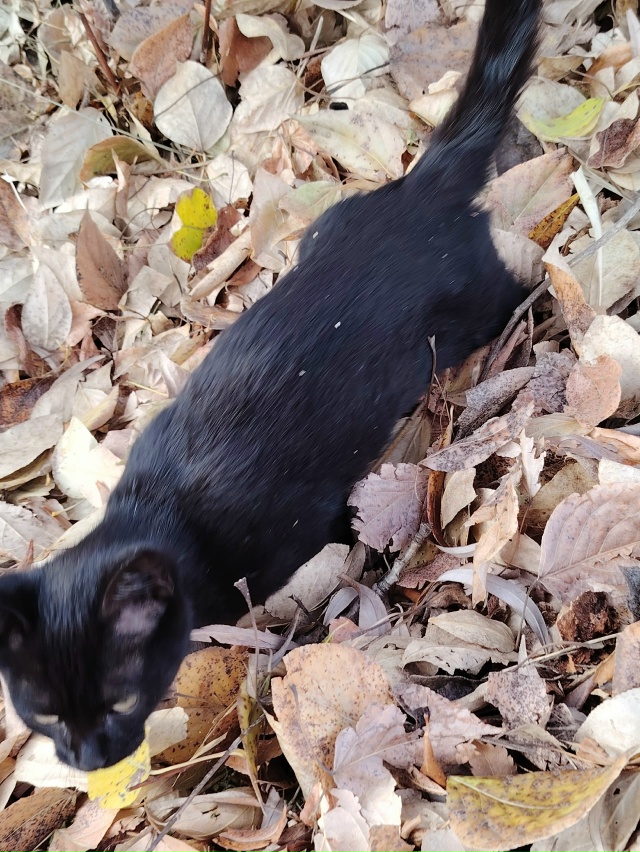 Здравствуйте! Пожалуйста может кто потерял, или снова ?...