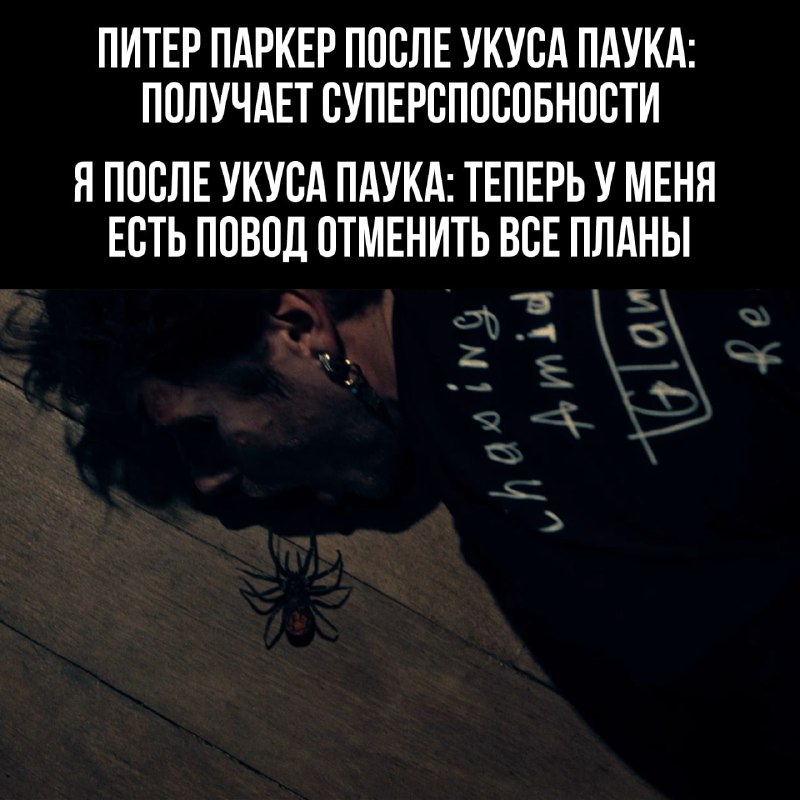 С другой стороны, если отменить все планы, то можно найти пару часиков для нового «Арахнида»
