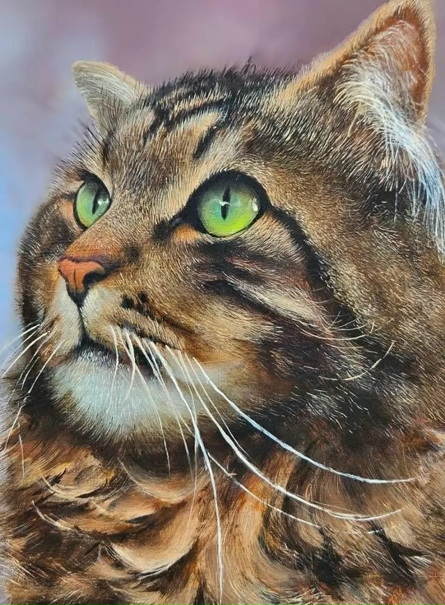 Знаменитый кот Фонзи. Художник: Frank Gressie