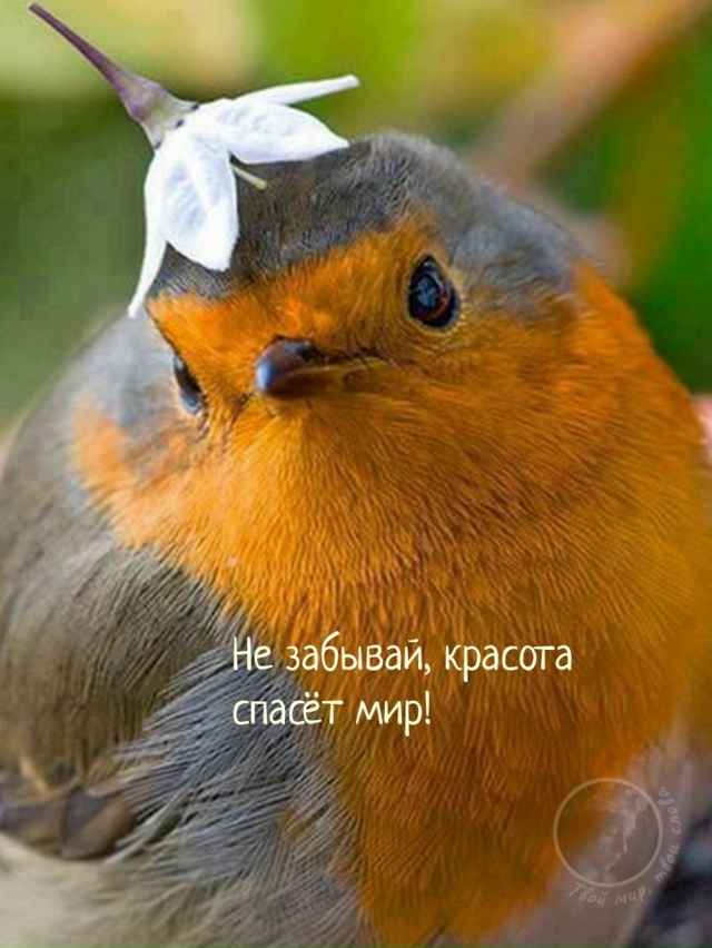 Будьте смелее!