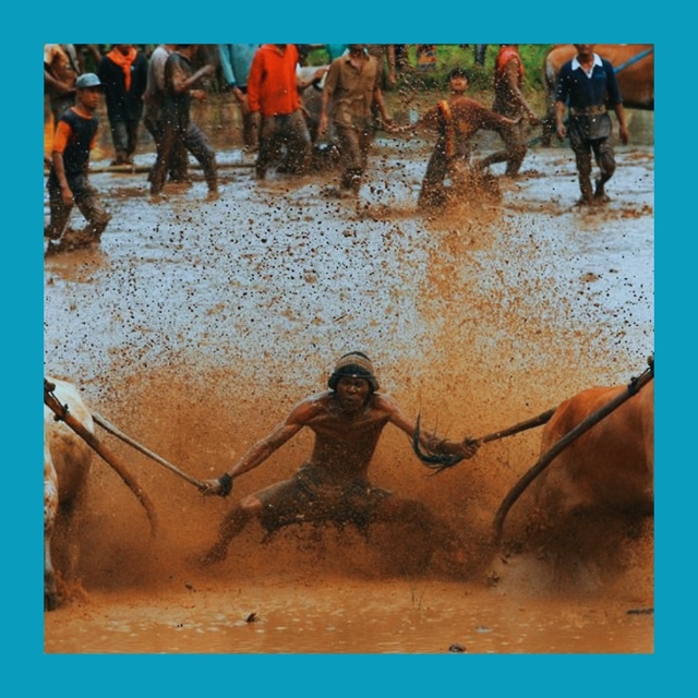 Видео из Индии напугало россиян: “в Индию ни ногой!!”
?...