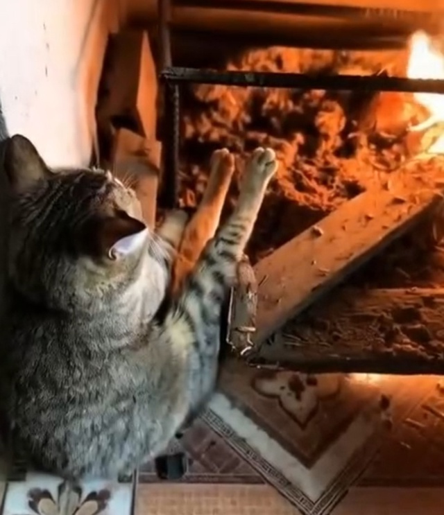 Какой же уютный вечерочек