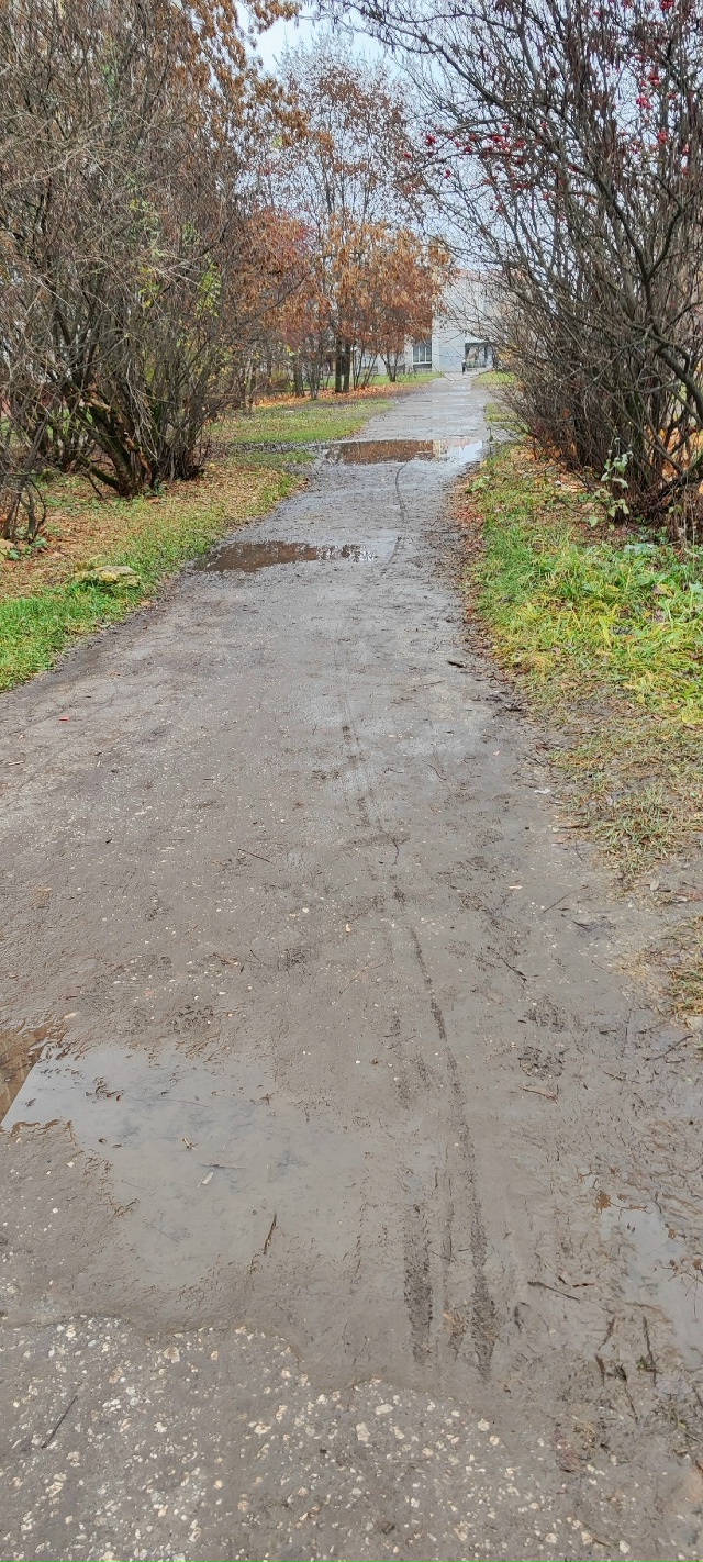 😡 Улица Грибоедова
Есть тротуар, но ходить по нему не?...