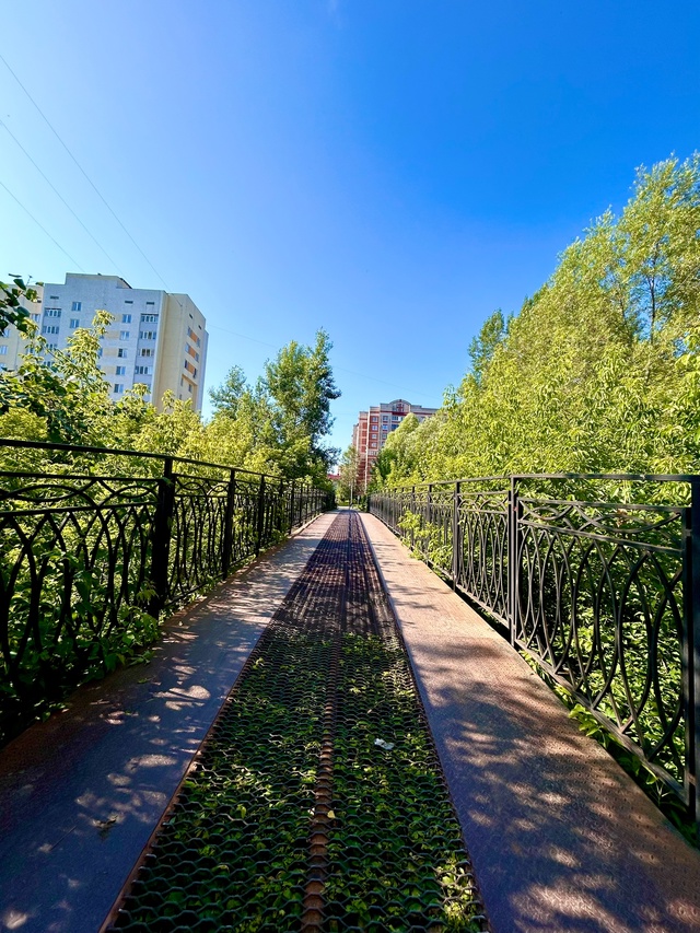 Доброе утречко 🌉