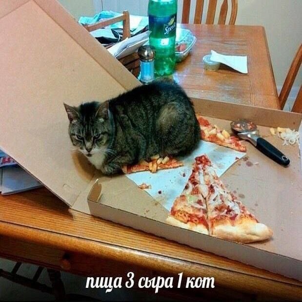 Утренняя подборочка