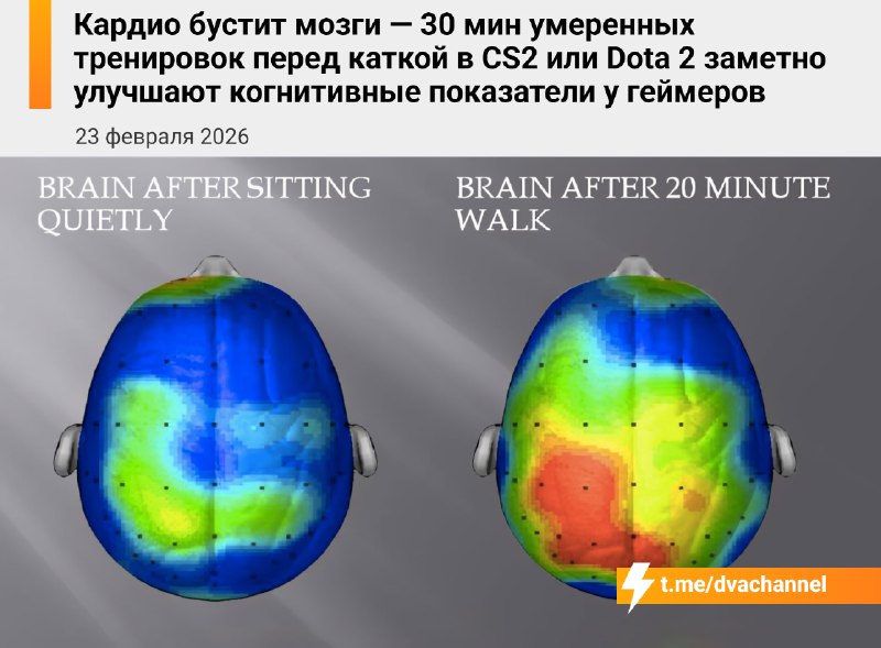 Кардио мощно прокачивает мозг: полчаса умеренных тренировок перед каткой в CS2 или Dota 2 заметно ул