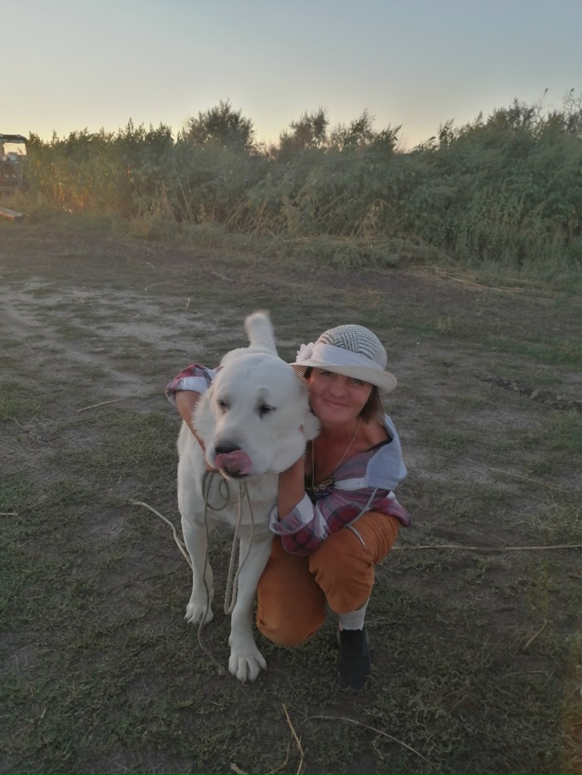 Продам щенков породы Алабай, 2 мальчика и 3 девочки. По в...