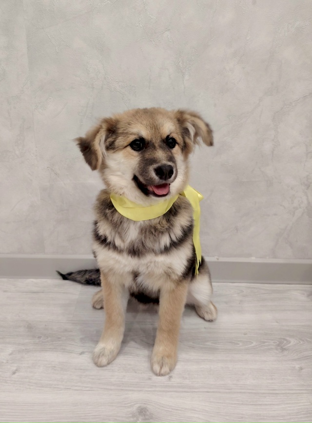 Самая плюшевая бусинка ищет своего человека! ❤️
Этот...