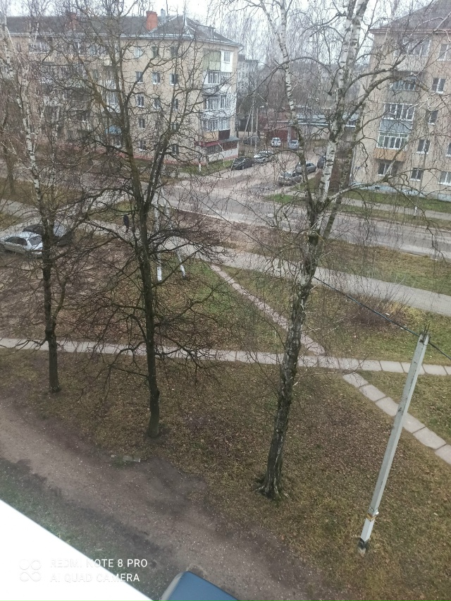 С недавних пор наблюдаю из окна , как постепенно неболь...