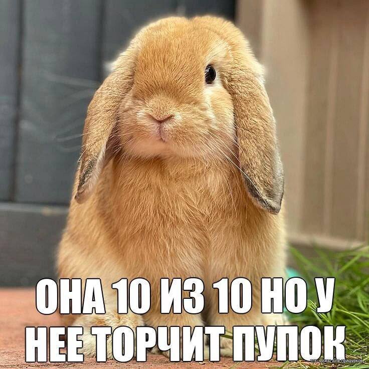 Девочки: у него долги, противная мать и ебанутые друзья, но ничего, мы справимся
Парни: