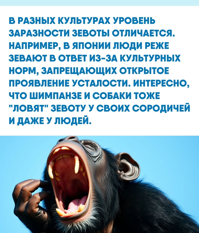 Этот феномен — не просто случайность, а отголосок эвол...