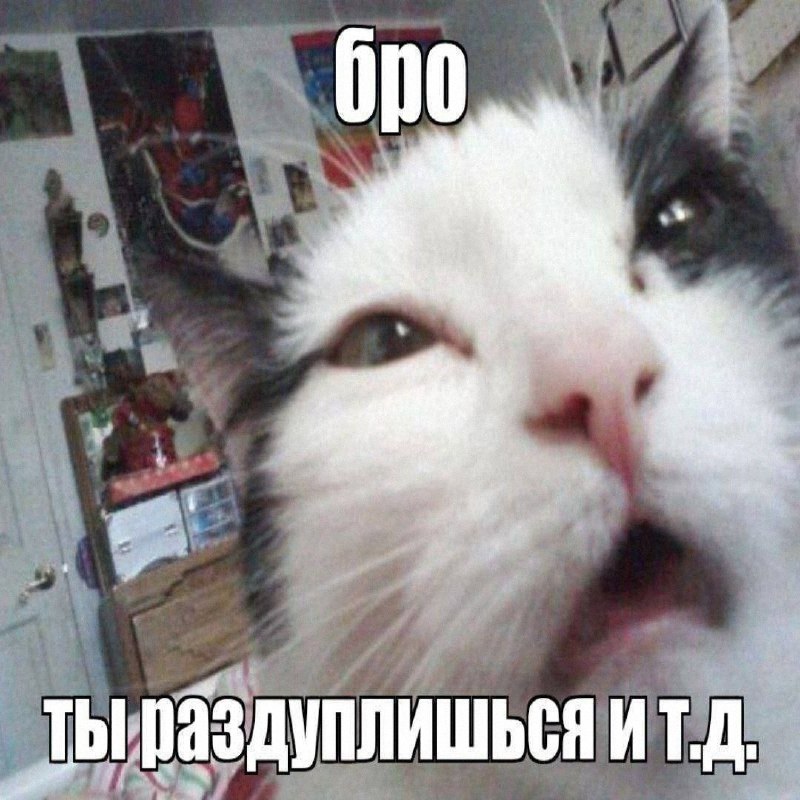Утренняя подборочка