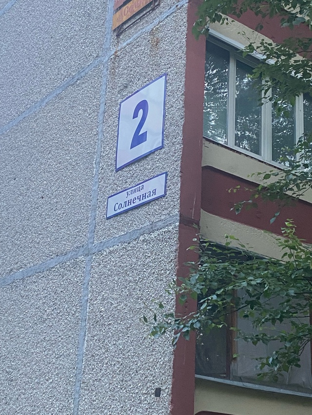 На вид не более 6-8 месяцев. Солнечная 2