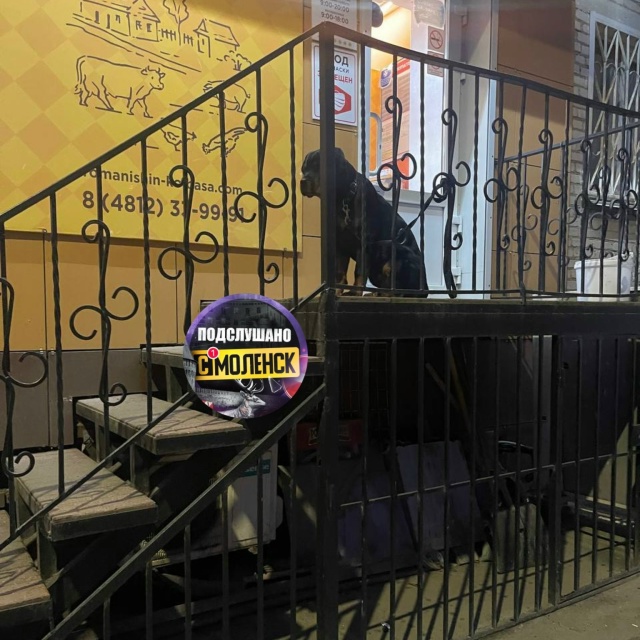 Вход в магазин Романишин на Мало-Краснофлотской был пе...