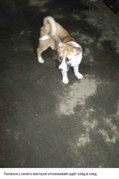 Пост добра. Распространите, пожалуйста.