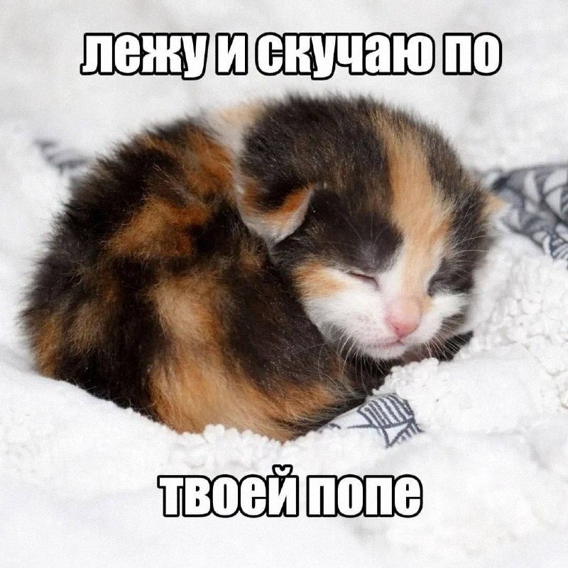 Утренняя подборочка
