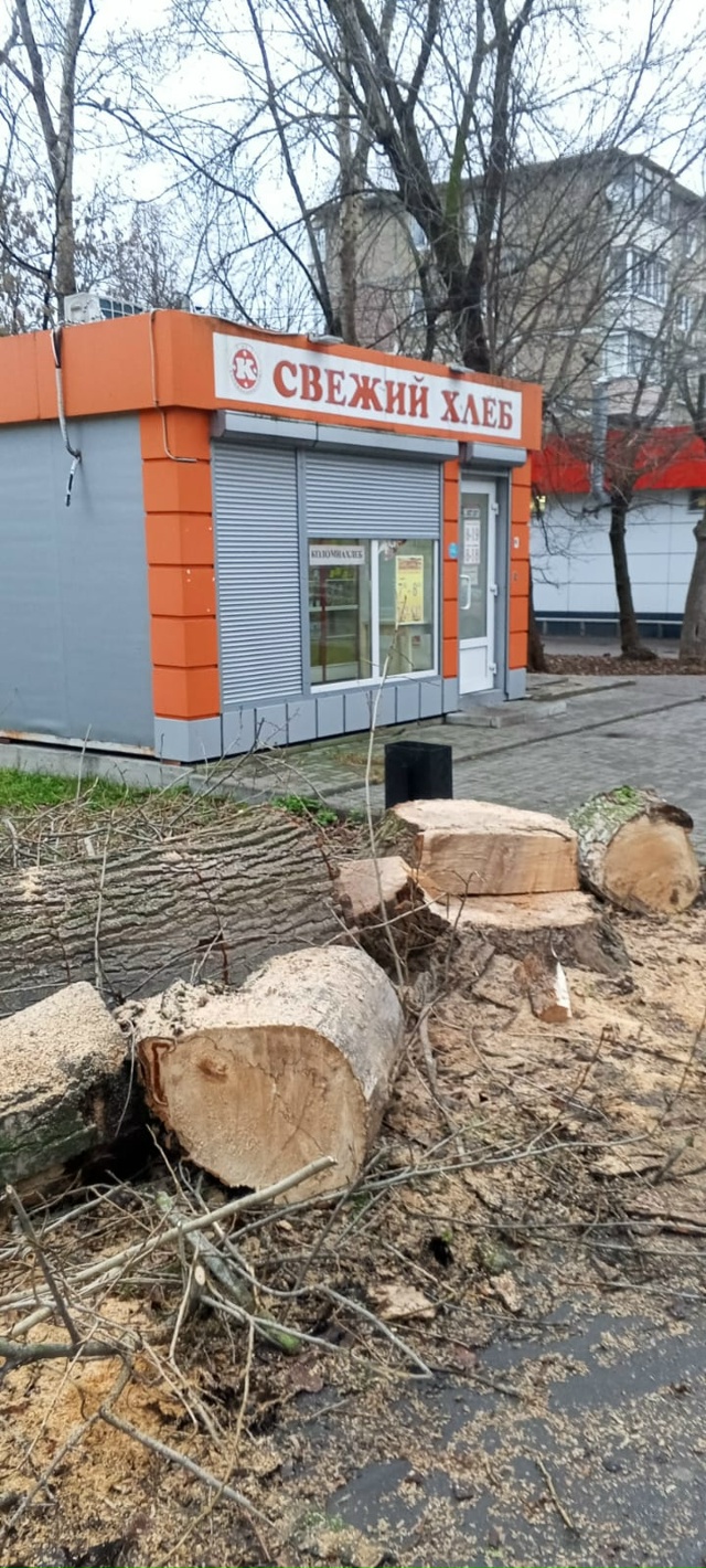 Ну кто же выпиливает по городу никому не мешающие двух?...