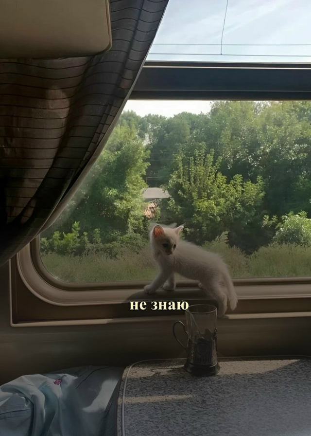 Как всегда😅