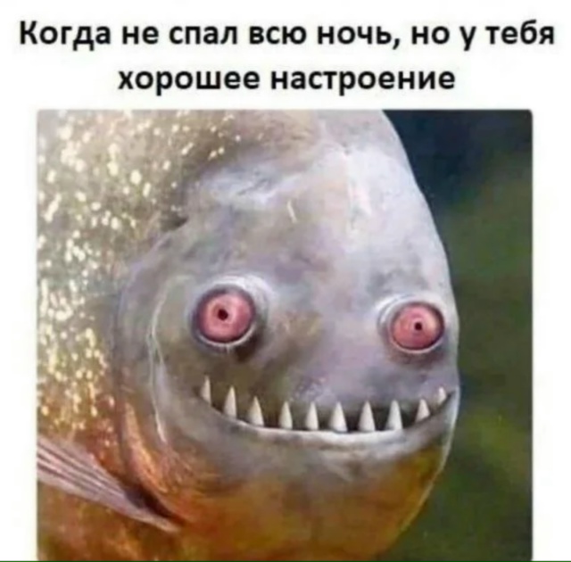 С добрым утром четверга.
До Нового Года осталось каких-...