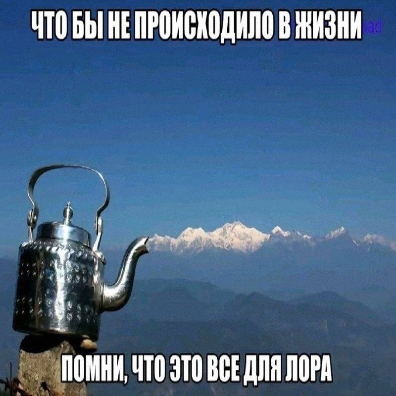 Утренняя подборочка