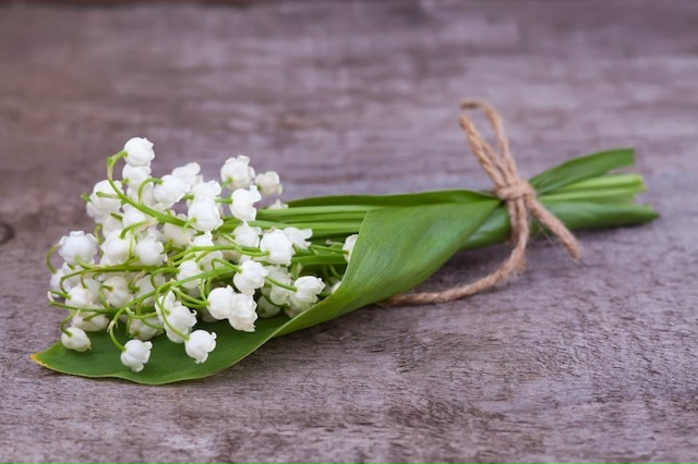 До 9 лет тюрьмы и штраф в миллион рублей могут грозить р...
