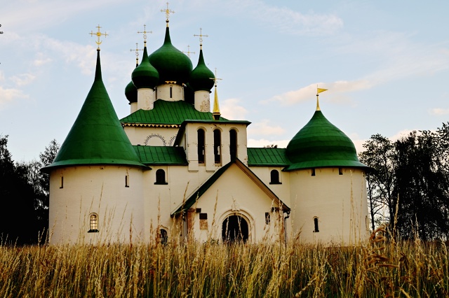 Выходные на Куликовом поле🌿