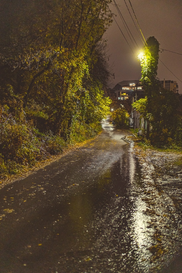 Вечерний, влажный и блестящий Воронеж🍂🌇