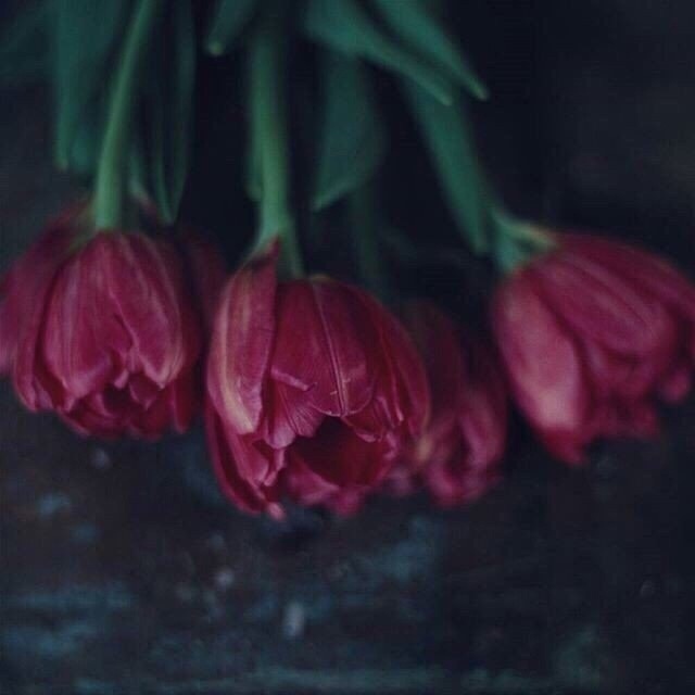 Чистая совесть ни лжи не боится, ни слухов, ни сплетен.