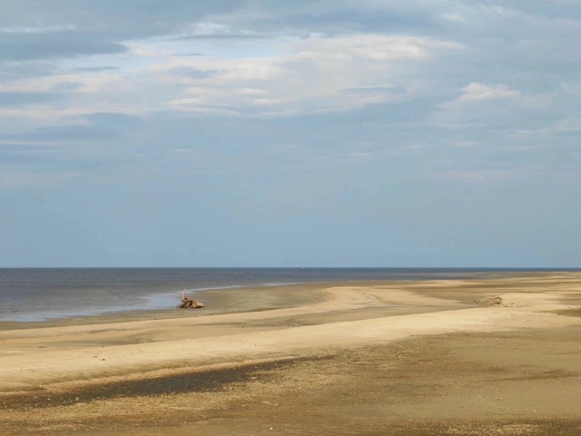 Шикарный пляж на Рыбинском водохранилище.
Ярославска?...
