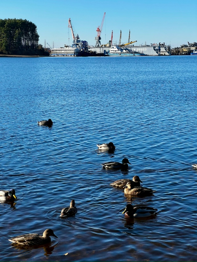 Сегодня выдался замечательный, солнечный денёк. Успел?...