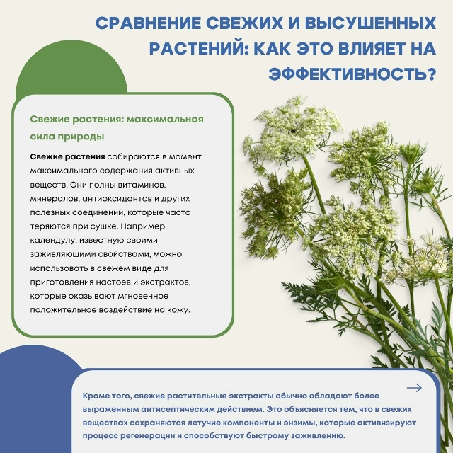 Вы задавались вопросом: какова разница в их эффективно...