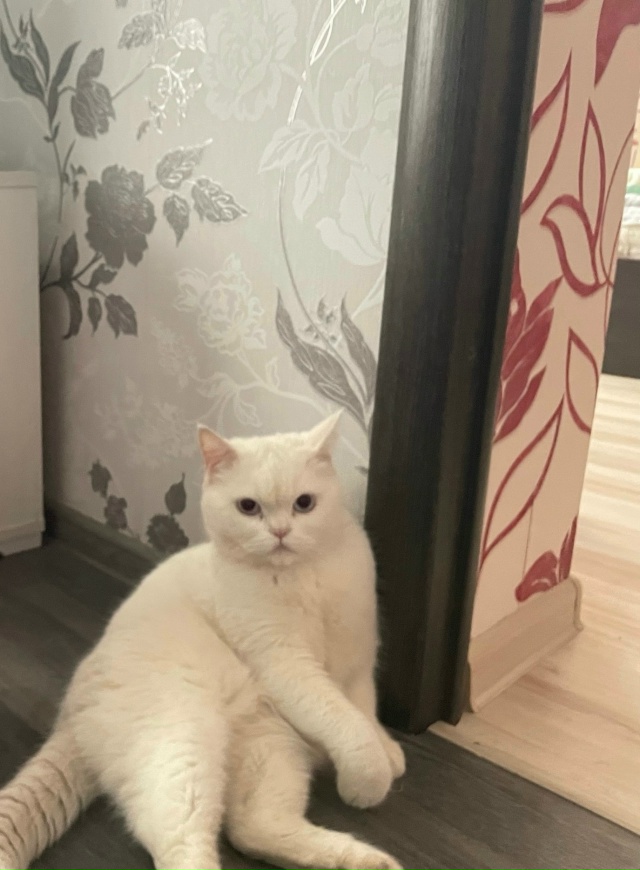 Добрый день,уже месяца 4 назад выкладывал, может кто-то ...