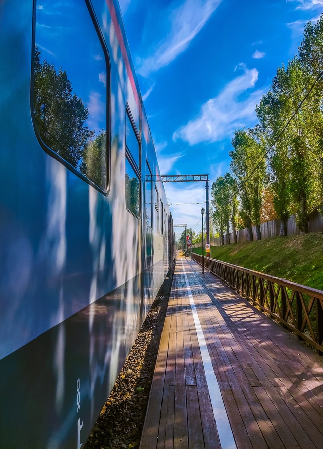 Лето в Воронежской области🥰📆