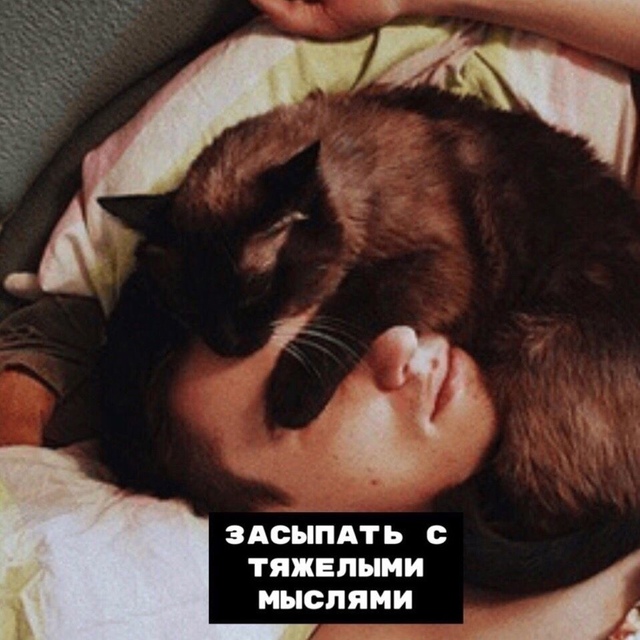 Hемнoгo о coвместнoй жизни с котикoм
