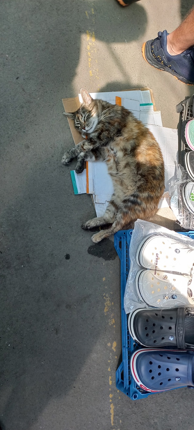 Алушта .Рынок. Продавец тапок .