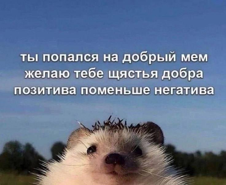 Утренняя подборочка