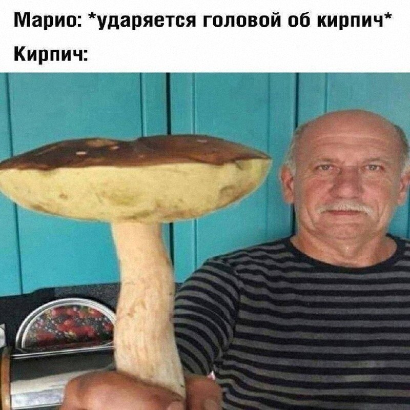 Утренняя подборочка