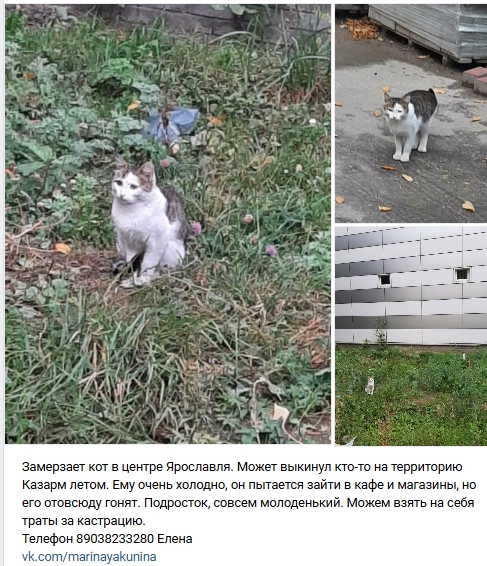 Пост добра. Распространите, пожалуйста.