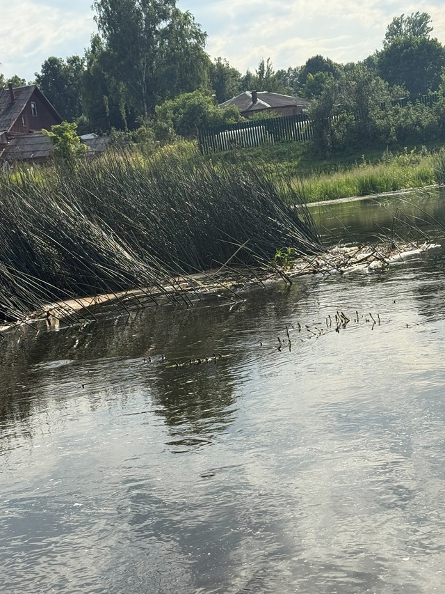 Рузский район , жемчужина Подмосковья, экологически чи...