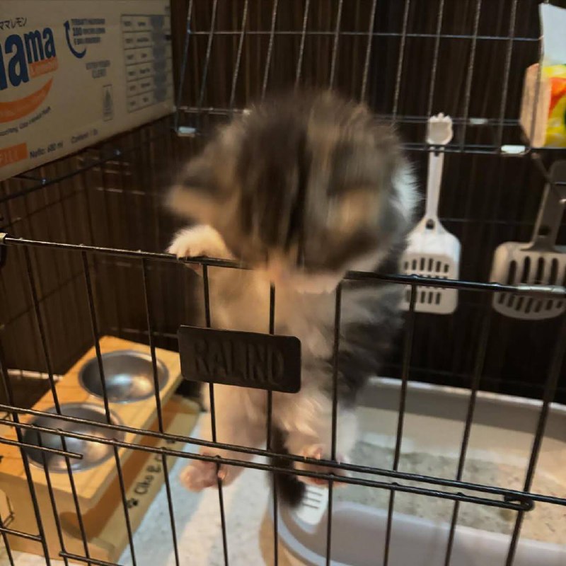 Ета тумпая тюрма не удержит меня!!!!!!