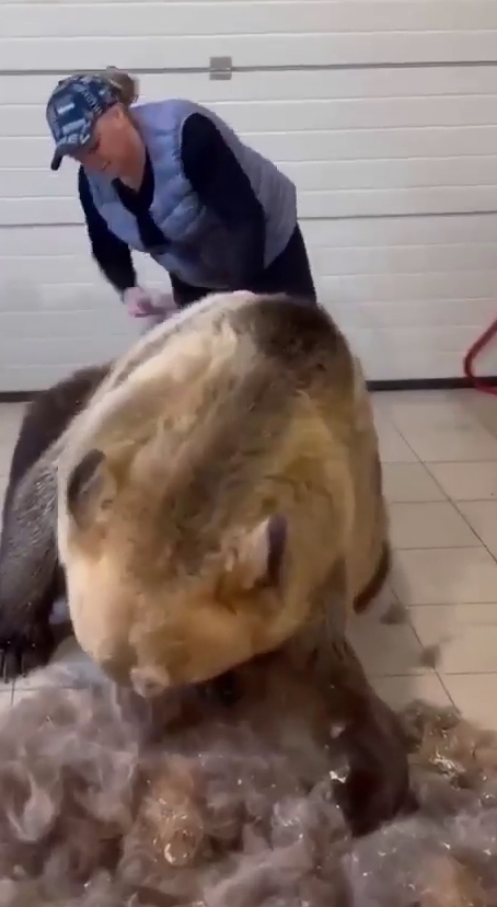 Когда страх раздавали - про неё забыли