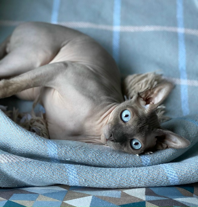 Бесик 🥰😸🥰