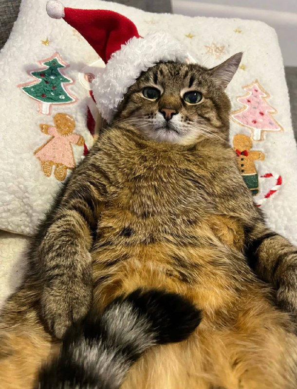 С Рождеством!