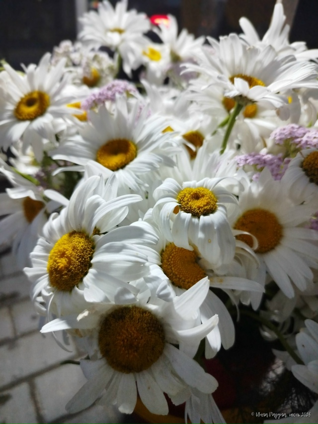 💐 Βeчep в гopoдe N
